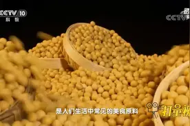 我国是大豆消耗大国，但我国的大豆自给率却仅有15%|透视新科技视频封面