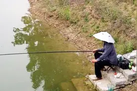 老农钓起一“乌龟”背插四箭，专家：是国宝级文物，距今3千多年视频封面