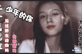 【少年的你】【周也】【个人向】【混剪】你见过野生动物的眼睛吗视频封面