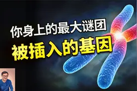 人类比黑猩猩少一对染色体，会推翻进化论吗？被插入的那些基因视频封面
