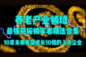 养老产业里的领军者，10倍潜力股最强竞争者！10只精选合集（1）