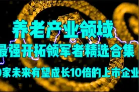 养老产业里的领军者，10倍潜力股最强竞争者！10只精选合集（1）视频封面