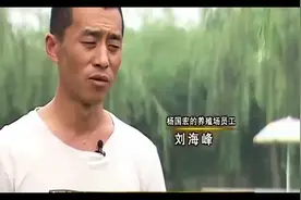 致富经-农村夫妇用三招养羊，三年赚了2000多万视频封面