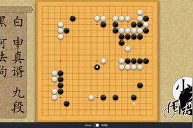 人机大战：阿法狗绝妙攻击战术，杀的申真谞三条大龙都不活视频封面