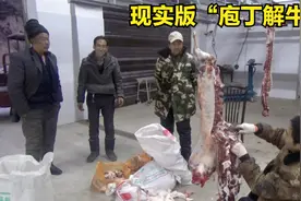 刘四拉羊去屠宰场售卖，遇到杀羊的高手，展现真正的“庖丁解牛”视频封面