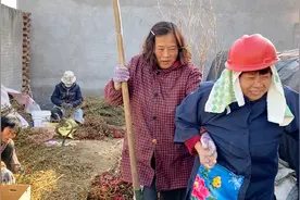 河南农村翠香家摘辣椒，好妮即兴表演，逗得大伙捧腹大笑视频封面