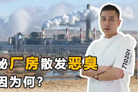 厂房大门紧紧关闭，里面却不断散发恶臭，刑警打开大门头皮发麻视频封面