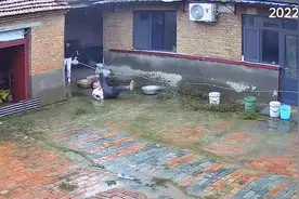 男子抱娃走路不慎摔倒 危险瞬间保持姿势稳稳抱住娃视频封面
