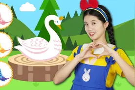 天鹅都有哪些特征呢？蝴蝶姐姐早教益智儿歌育儿动画