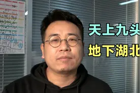 “天上九头鸟，地下湖北佬”，这是什么意思，是在骂他们吗？视频封面