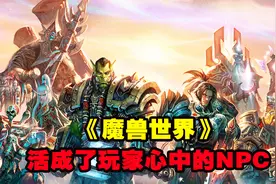 魔兽最执着的女玩家，整整9年无私帮助大家，最终成为玩家心中NPC视频封面