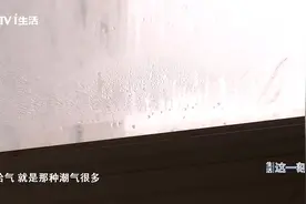 家里墙壁突然长霉斑 竟是因为这个视频封面