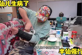 仙儿送去宠物店洗澡，回来连续两天拉肚子，半仙强行灌药视频封面