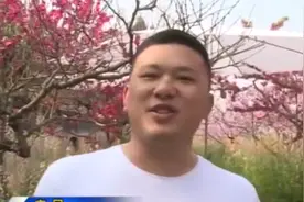 成都又“一秒入夏”了？市民直接短袖出行直呼：巴适！视频封面