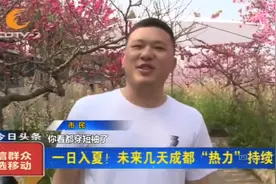 成都又“一秒入夏”了？市民直接短袖出行直呼：巴适！视频封面