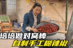 培培砍柴做对窝棒，自制手工糊辣椒面，用它拌野葱折耳根太香了！视频封面