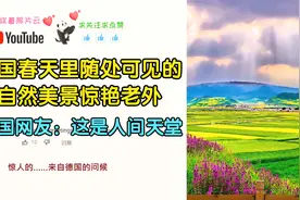 中国春天里随处可见的自然美景惊艳老外，外国网友：这是人间天堂视频封面