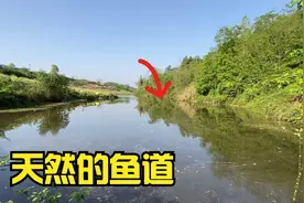 春季野钓鲤鱼，到底是选浅水还是钓深水？实战分享视频封面