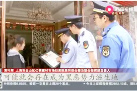 扫黑除恶捷报！上海金山摧毁2个恶势力犯罪集团和13个恶势力团伙视频封面