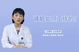 神奇的过滤器！肾脏究竟是如何工作的？你知道吗？视频封面