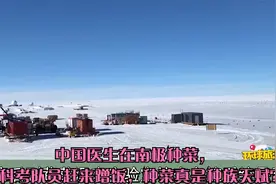 中国医生在南极种菜，他国科考队员赶来蹭饭，种菜真是种族天赋？视频封面