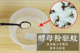 白糖加上它，蚊子来多少灭多少，家里蚊子全部消失，简单又好用视频封面