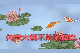 山上不捡肉，水中不捡鱼，老祖宗的智慧值得一看视频封面