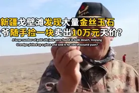 新疆戈壁滩发现大量金丝玉石，大爷随手捡一块，卖出10万元天价？视频封面