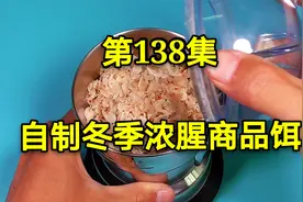 媲美红虫的浓腥商品饵，每次仅需几毛钱，专攻深水大鲫鱼大鲤鱼视频封面