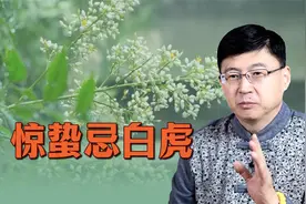 农村老话讲“惊蛰忌白虎”，什么是白虎？有哪些禁忌习俗？视频封面
