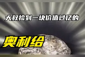 大叔在海边捡到神秘石头，非说是价值过亿的奥利给，当块宝贝收藏