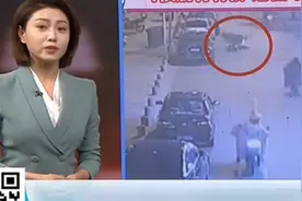 陈先生骑摩托正常行驶，被未拴绳的拉布拉多绊倒，导致肋骨骨折视频封面