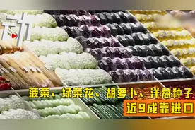 中国蔬菜种子自给率已达87%：菠菜等4种子仍需高度进口视频封面