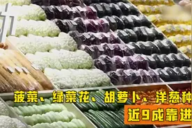 中国蔬菜种子自给率已达87%：菠菜等4种子仍需高度进口视频封面
