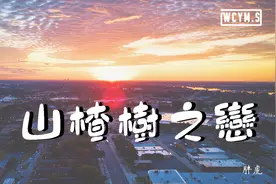 胖虎 - 山楂树之恋 (正式版)【動態歌詞/Lyrics Video】视频封面