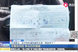 未牵绳的小狗跑上马路被撞！车主却要负全责，这事让网友们炸锅！视频封面