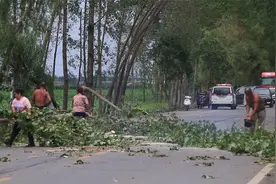 实拍：突遇暴风雨极端天气 邓州启动应急预案