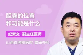 胆囊的位置在哪里？对人体有什么功能？