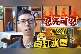 鱼缸水质发臭，频频换水也无法解决怎么办？原因出乎你的意料视频封面