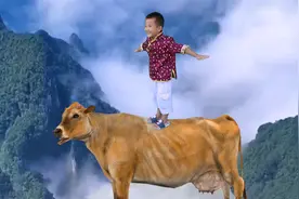 故事：小孩救了头会说话的牛，不料竟是天上神仙，带小孩去天上玩视频封面