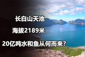 长白山天池海拔2189米，水流只出不进，那20亿吨水和鱼从哪里来？