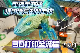 3D打印全流程：打印一只漂亮可活动羽毛龙！从零学习3D打印机教程