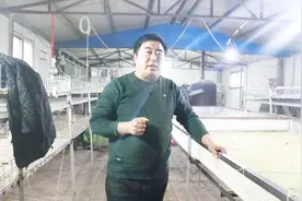 鹅大肠杆菌治疗出现耐药性？老张教你如何避免，用药量该是多少视频封面