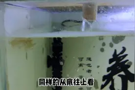 鱼缸水面出现大量细微泡沫，才需要怀疑水质问题，处理倒也简单视频封面