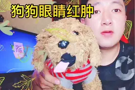 狗狗眼睛红肿怎么办？