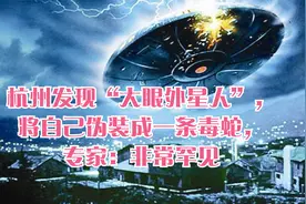 杭州发现“大眼外星人”，将自己伪装成一条毒蛇，专家：非常罕见视频封面