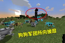 我的世界模组之狼铠：我用末影人测试狗狗军团的威力，所向披靡！