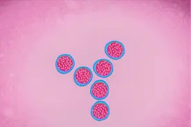 骨头如何造血 - 梅洛迪 · 史密斯视频封面