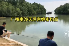 广州南沙天后宫绝密钓点，停车方便保安不管，水面平静全是大鱼！