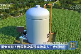 重大突破！我国首次实现实验室人工合成淀粉视频封面
